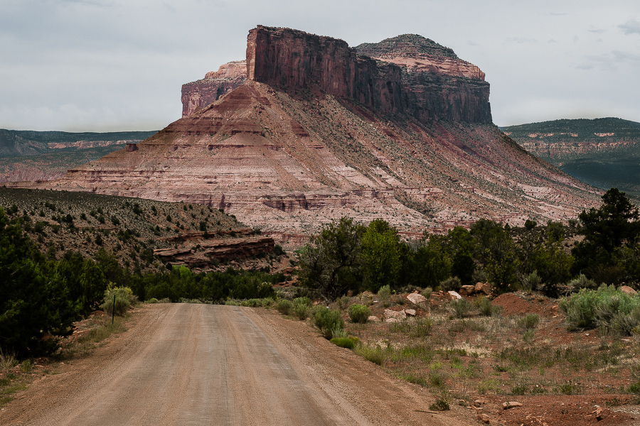 Gateway Palisade