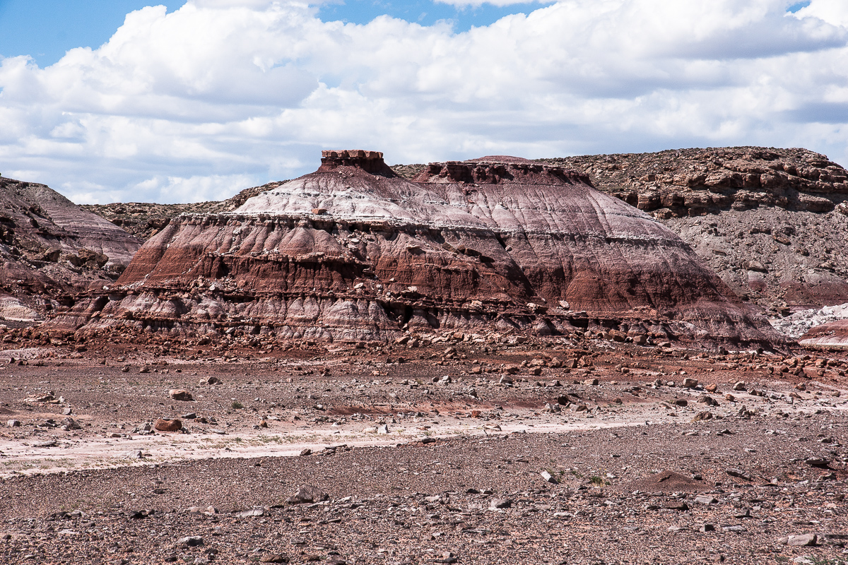 Moenkopi Formation nahe des Fossil Points