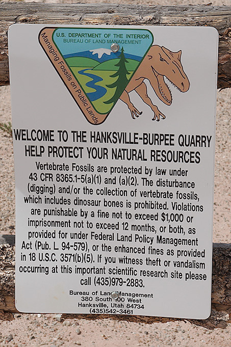 Burpee Dinosaur Quarry
