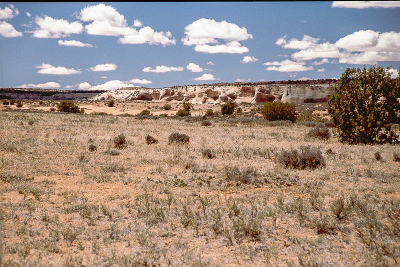 Dome Plateau; Yellow Jacket Canyon