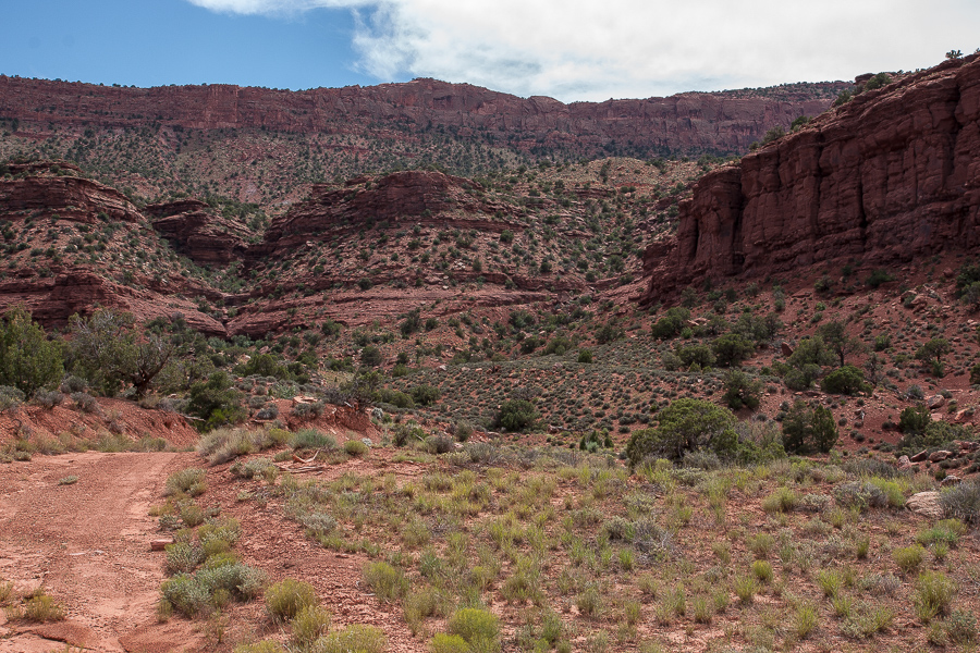 Piute Pass