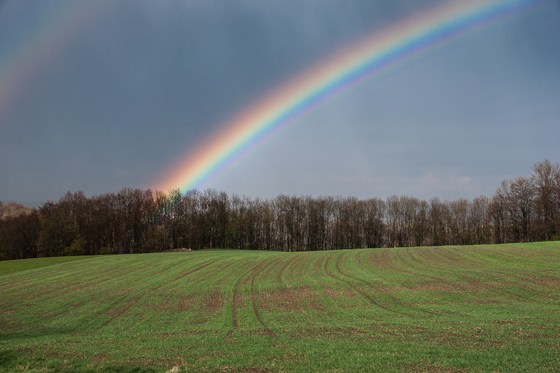 Regenbogen