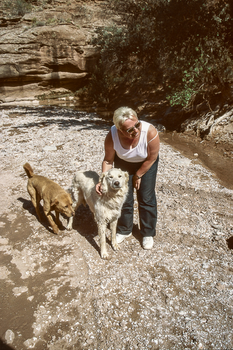 Navajo Dogs, Adahchijiyahi Canyon