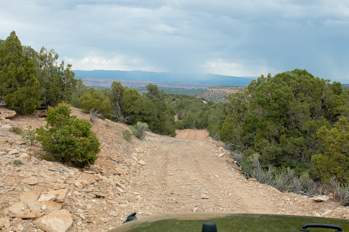 Trail auf der Wild Steer Mesa