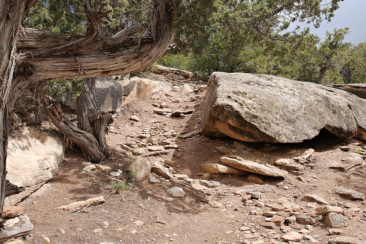 Mystery Rock Trail