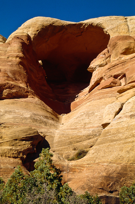 Rattlesnake Canyon, Unnamed Arch