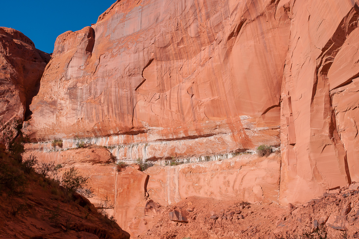 Lost Trail Canyon