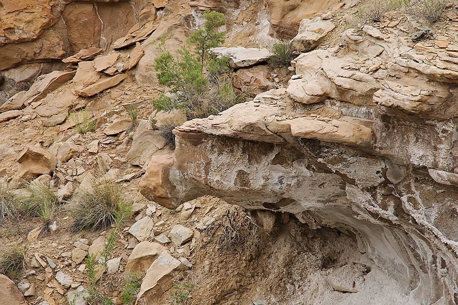 Gargoyle Canyon