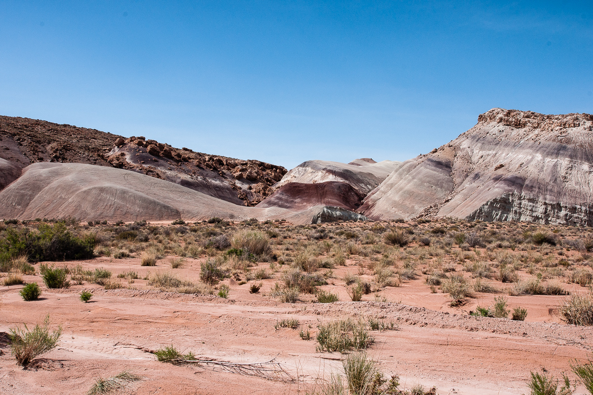 Red Desert Trail