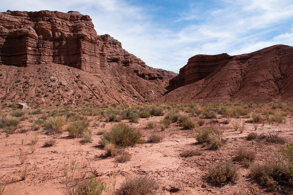 Red Desert Wash