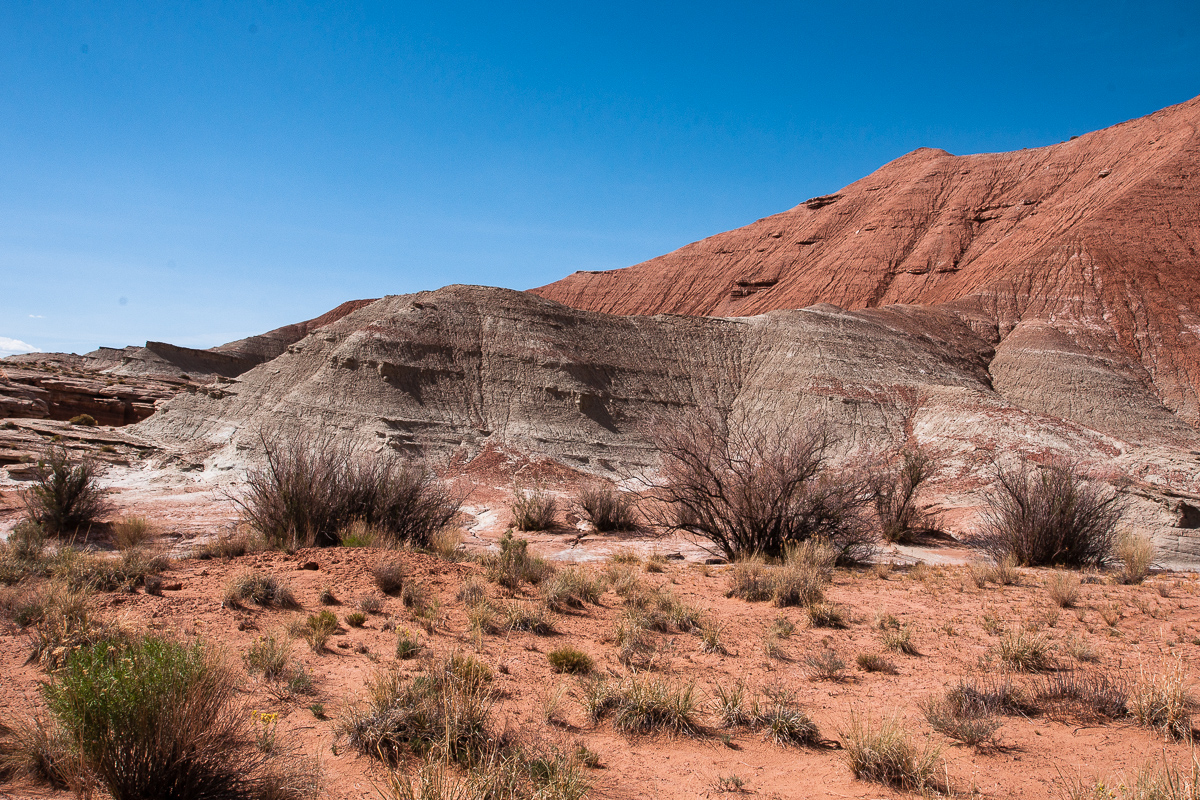 Red Desert Wash