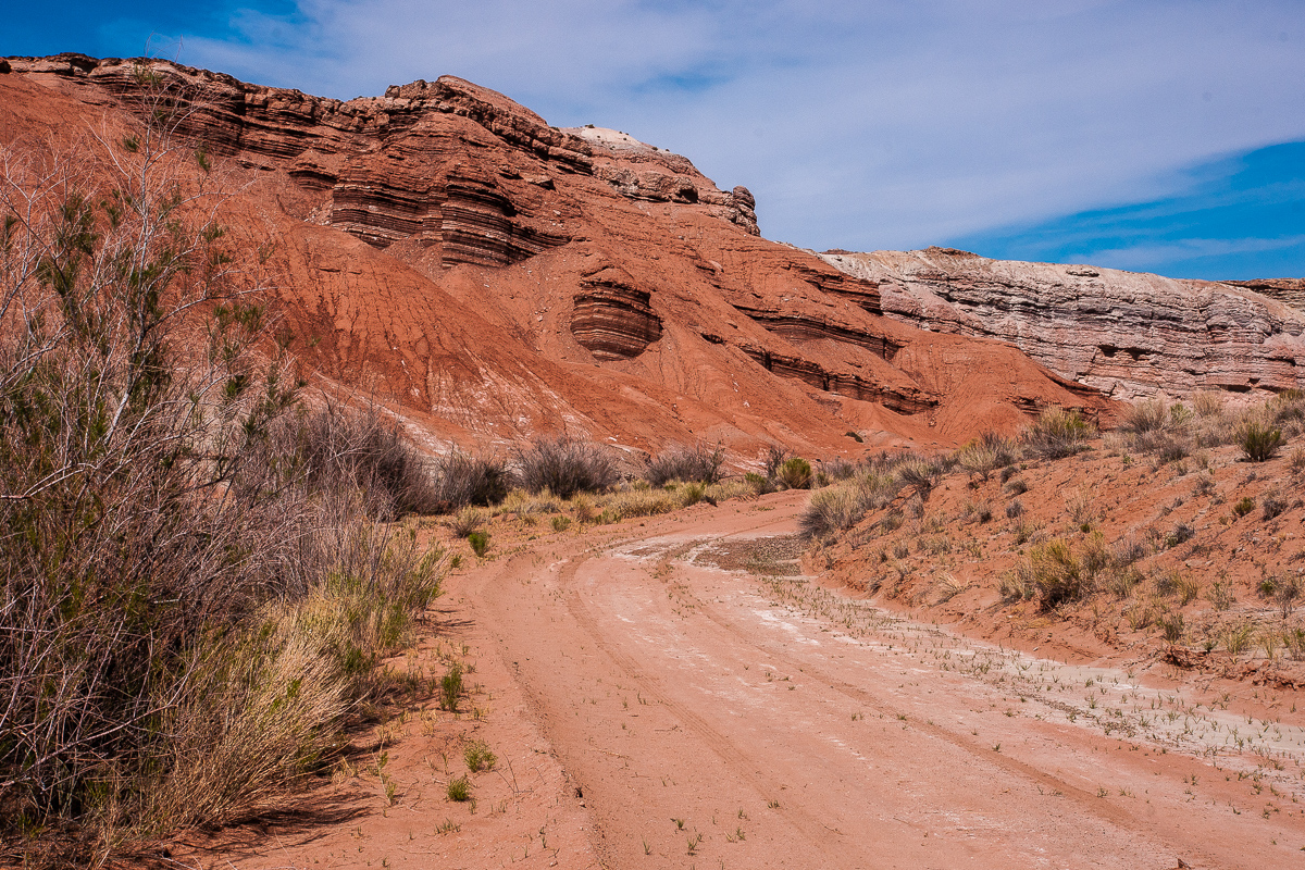 Red Desret Road