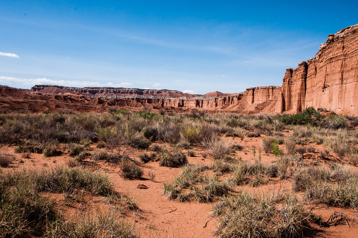 Red Desert Cliffs