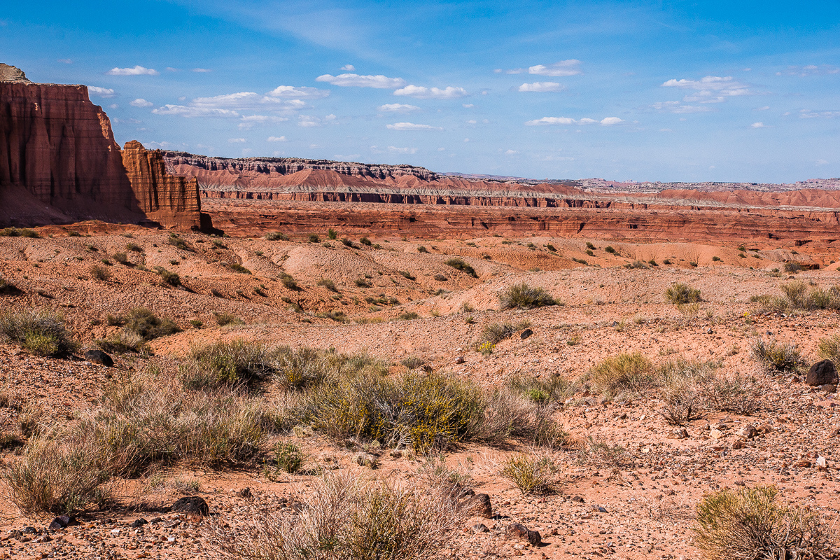 Red Desert