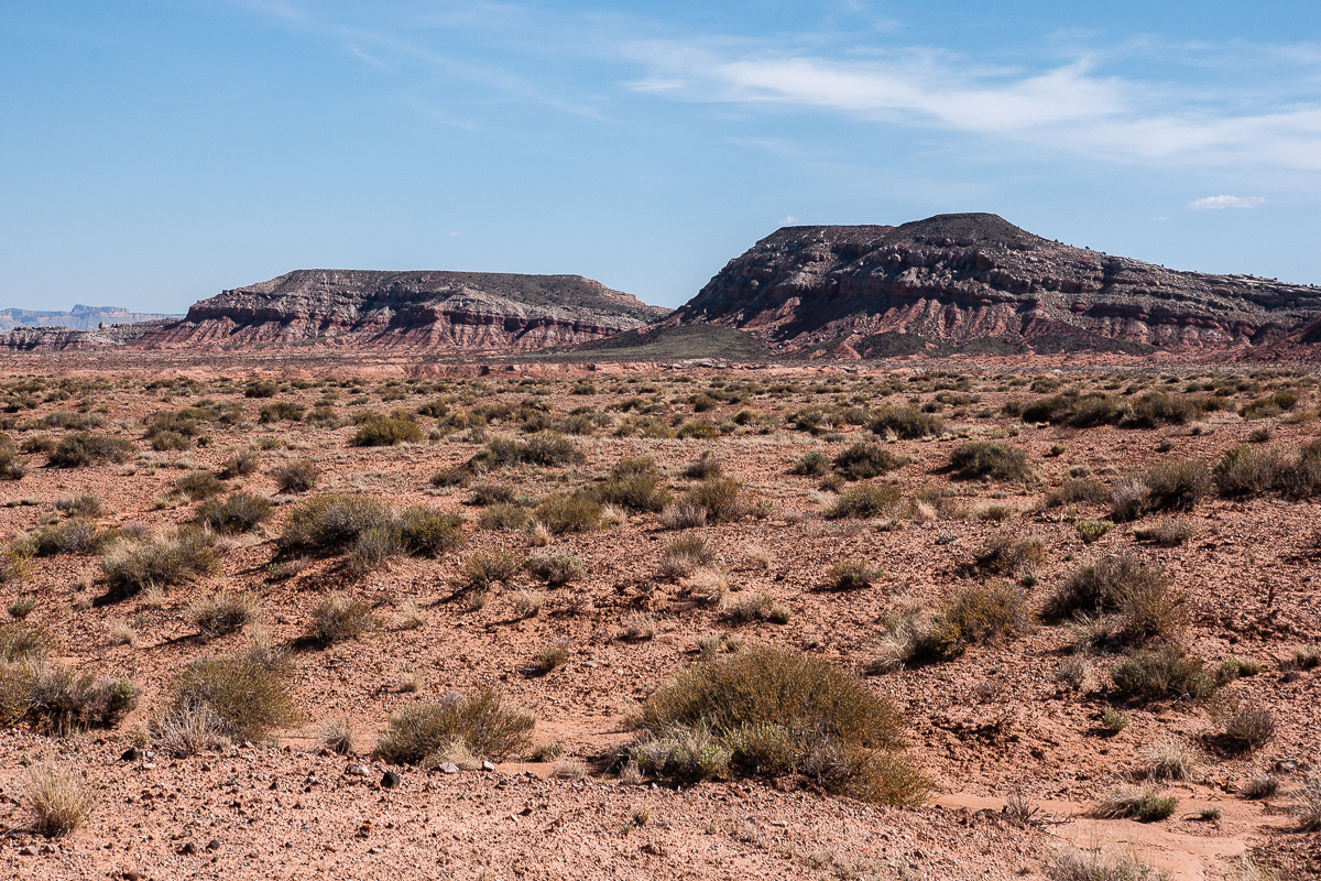 Red Desert