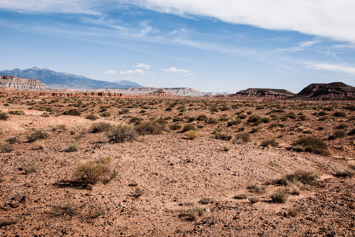 Red Desert