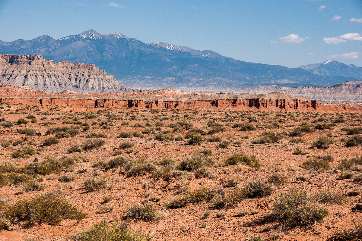 South Red Desert