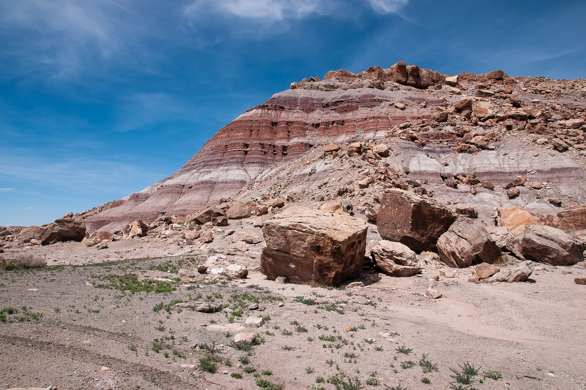 Buckmaster Draw Morrison Formation