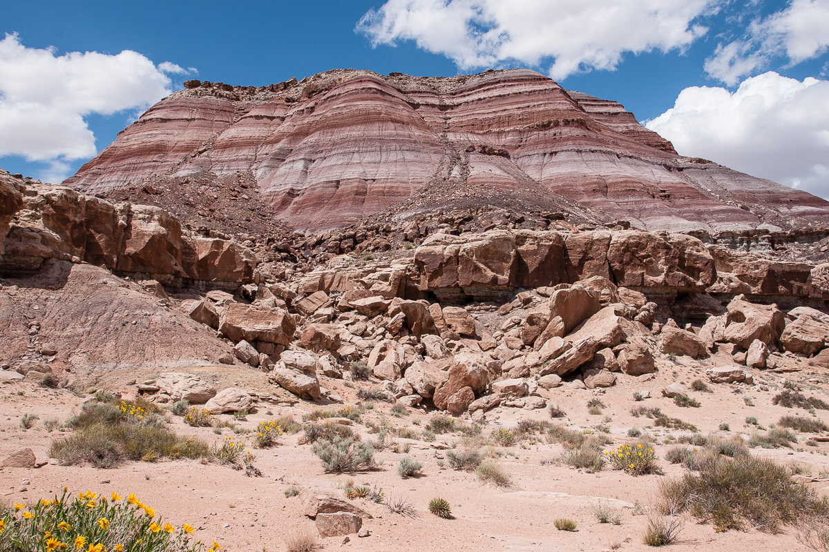Utah, Green River: Fossil Point | Expedition Portal