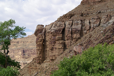 Nefertiti, Gray Canyon