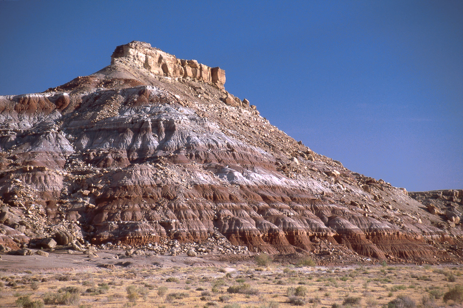 Buckmaster Draw, Morrison Formation