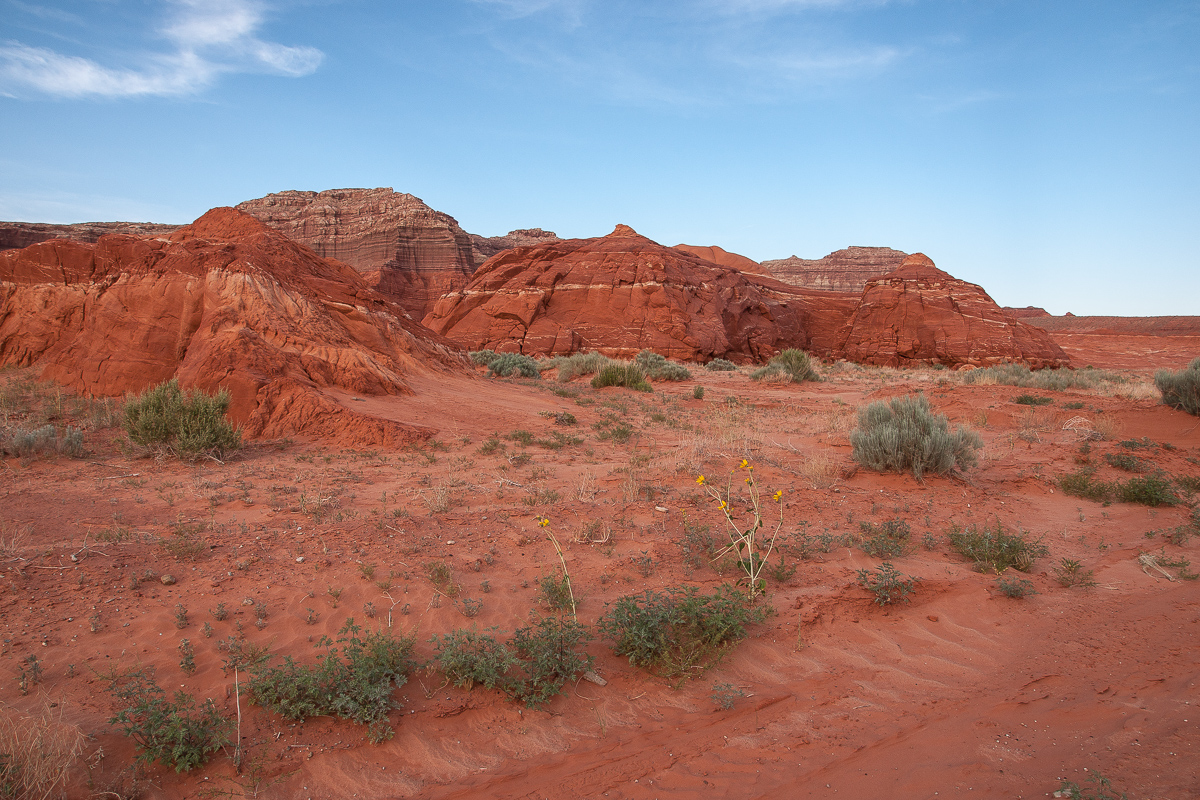 Bullfrog Canyon