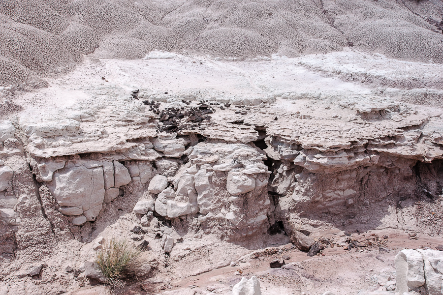 Morrison Formation