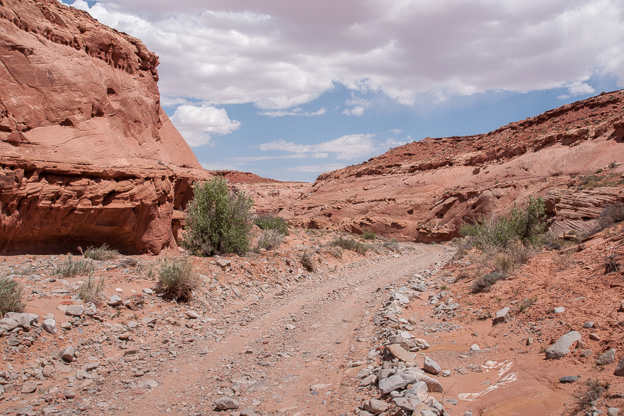 Poison Spring Canyon