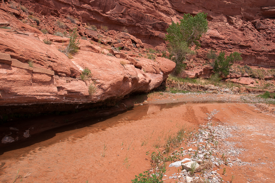 Poison Spring Canyon