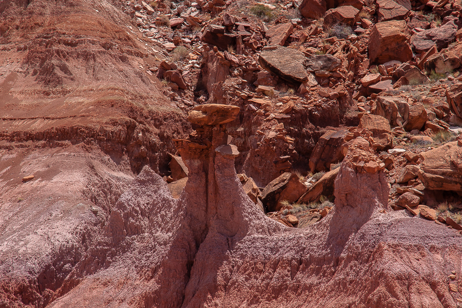 Poison Spring Canyon