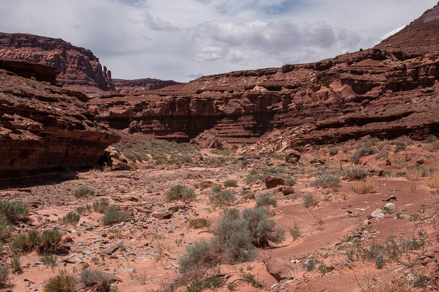 Poison Spring Canyon