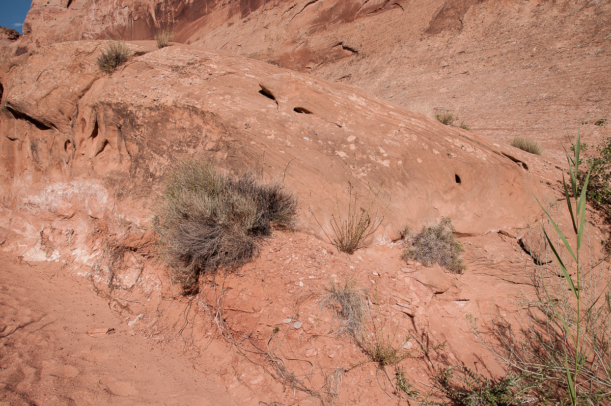 Leprechaun Canyon