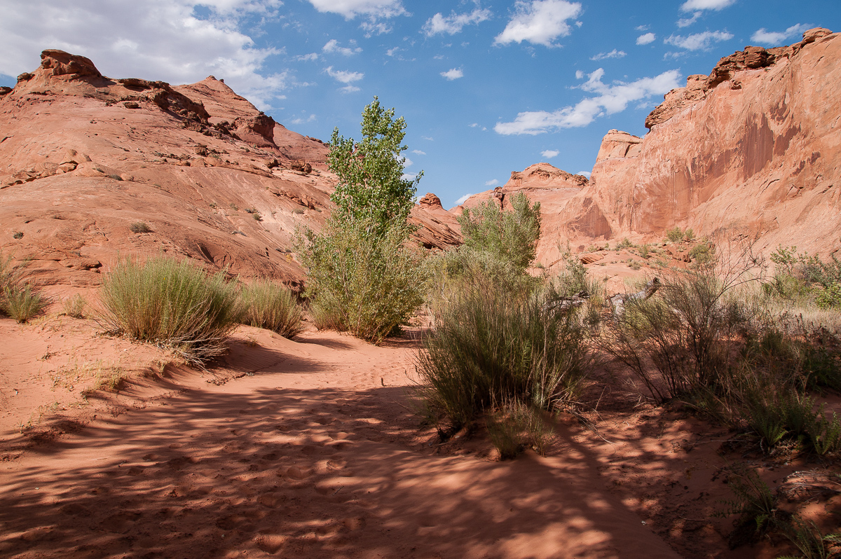 Leprechaun Canyon