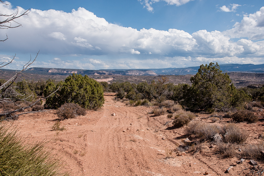Road östlich der Buckhorn Mesa