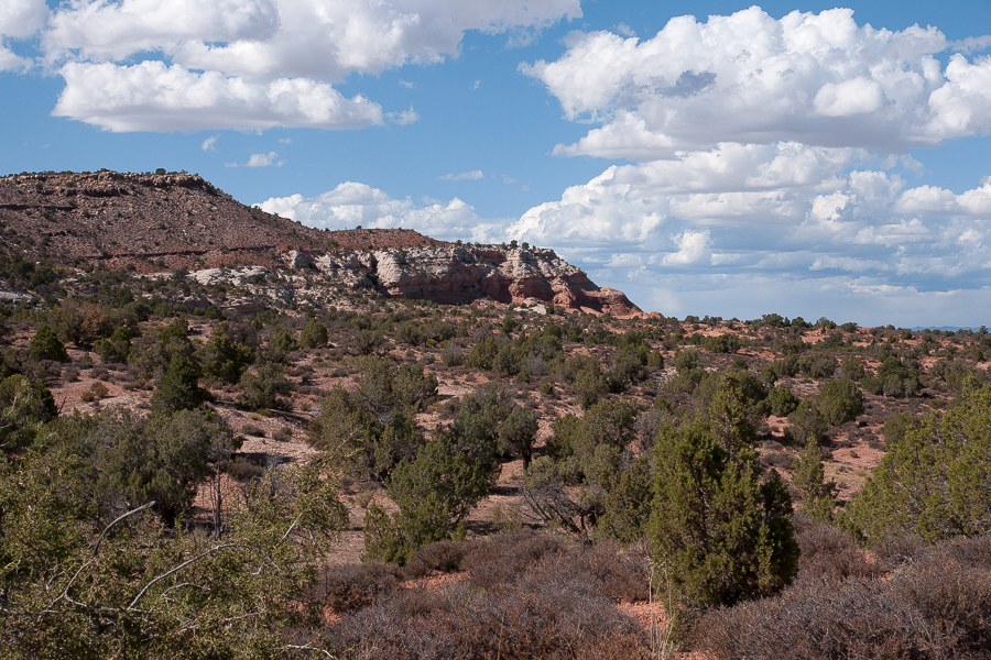 Buckhorn Mesa