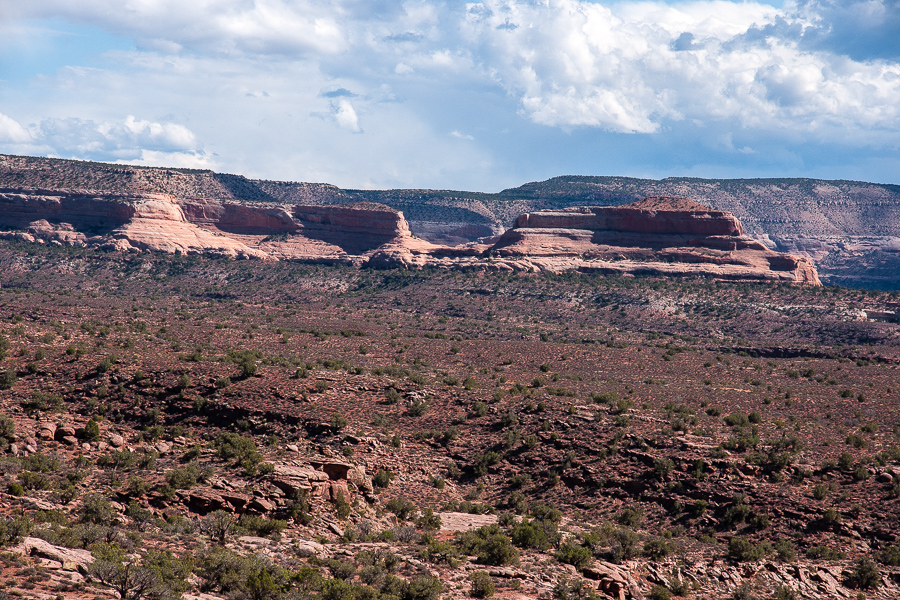 Scharf Mesa