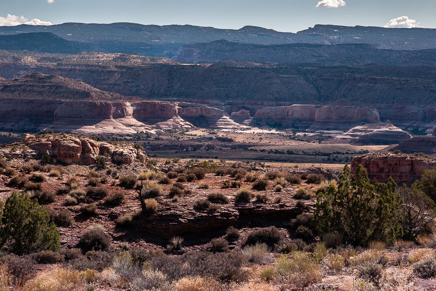 Dolores River Canyon