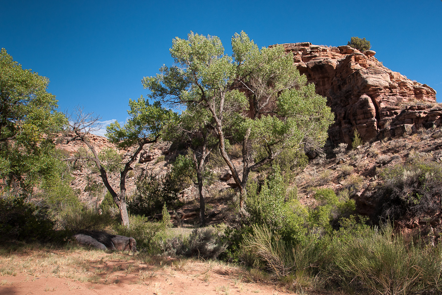 Granite Creek