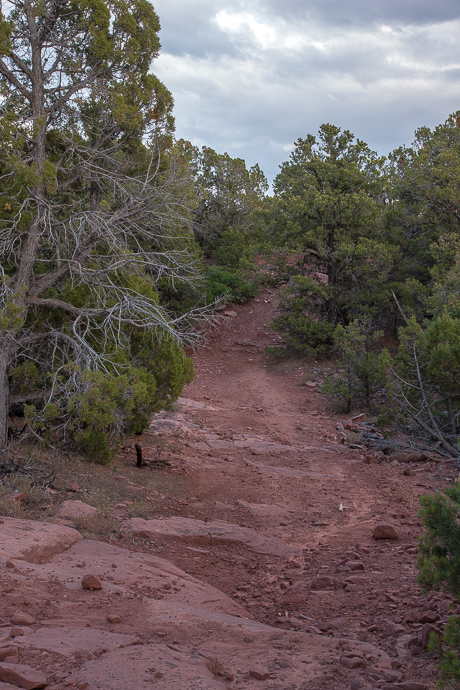 Forest Road