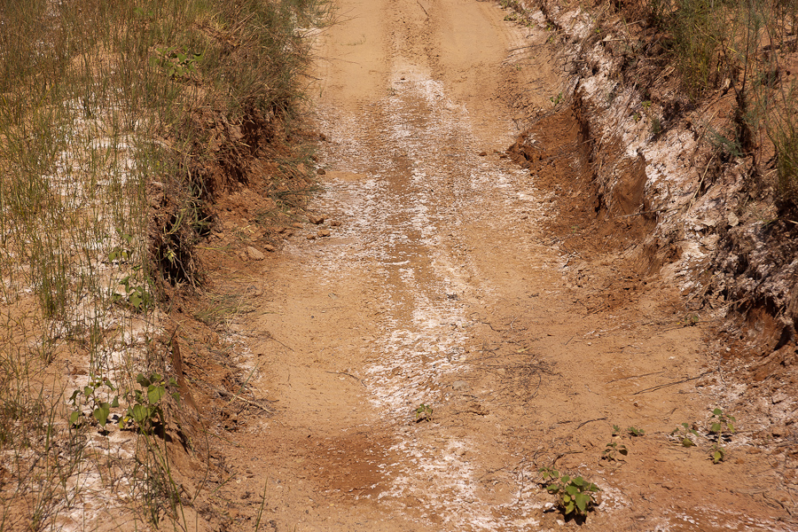 Trail Im Tenmile Canyon