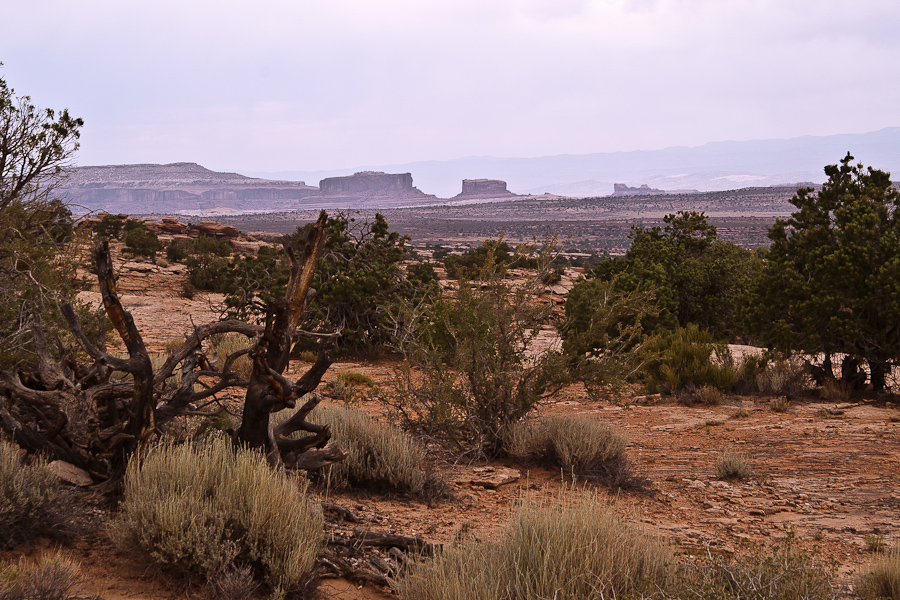 Monitor & Merrmac Buttes vom Day Canyon Point Trail aus gesehen