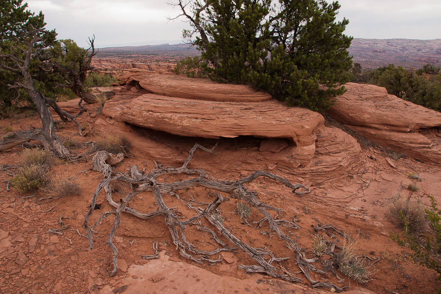 Am Day Canyon Point Trail