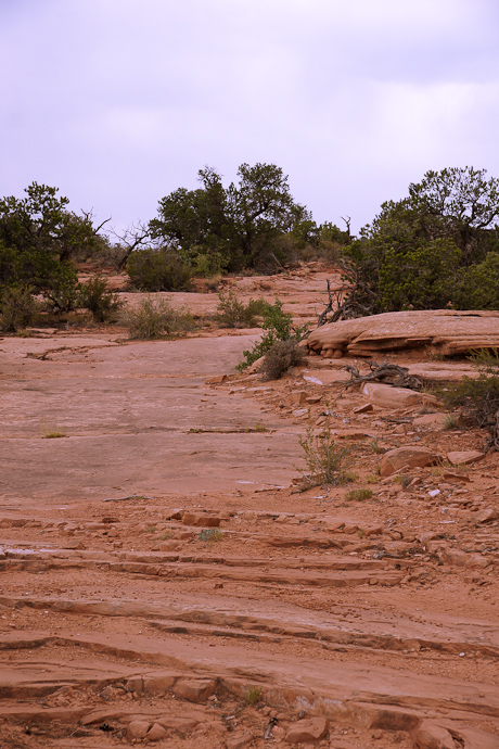 Day Canyon Point Trail