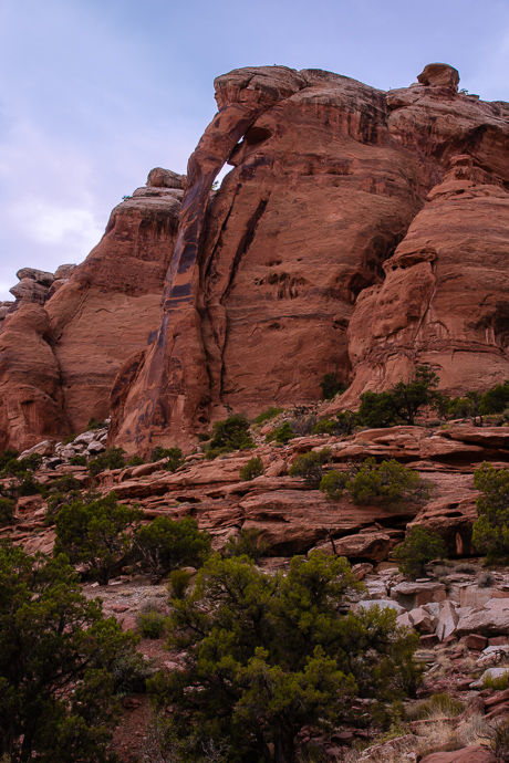 Bullwhip Arch