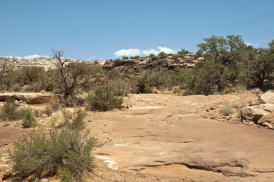 Gold Bar Rim Trail