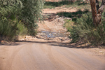 Moab Shumway Lane