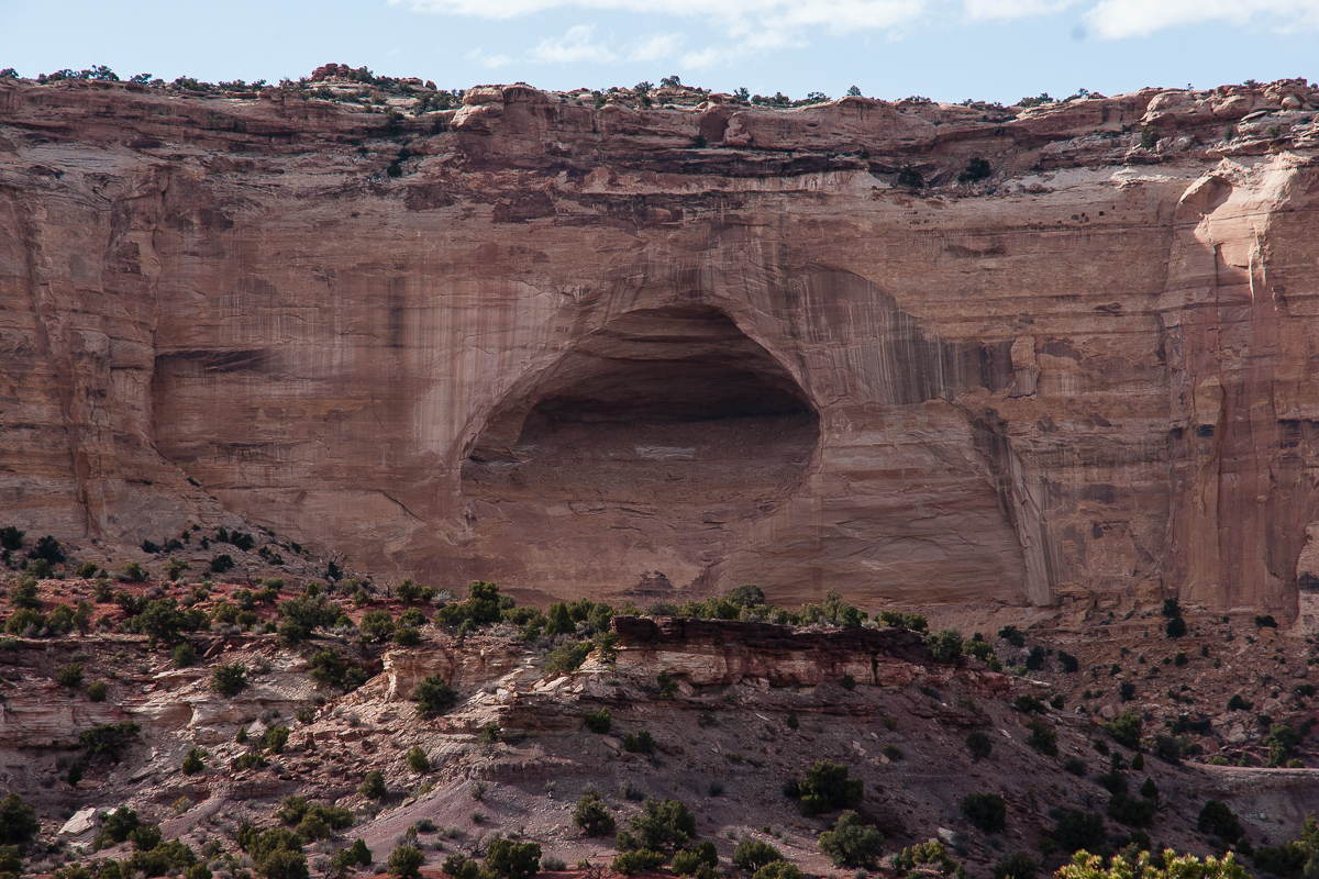 Cane Wash Canyon