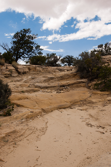 DevislRacetrack Trail