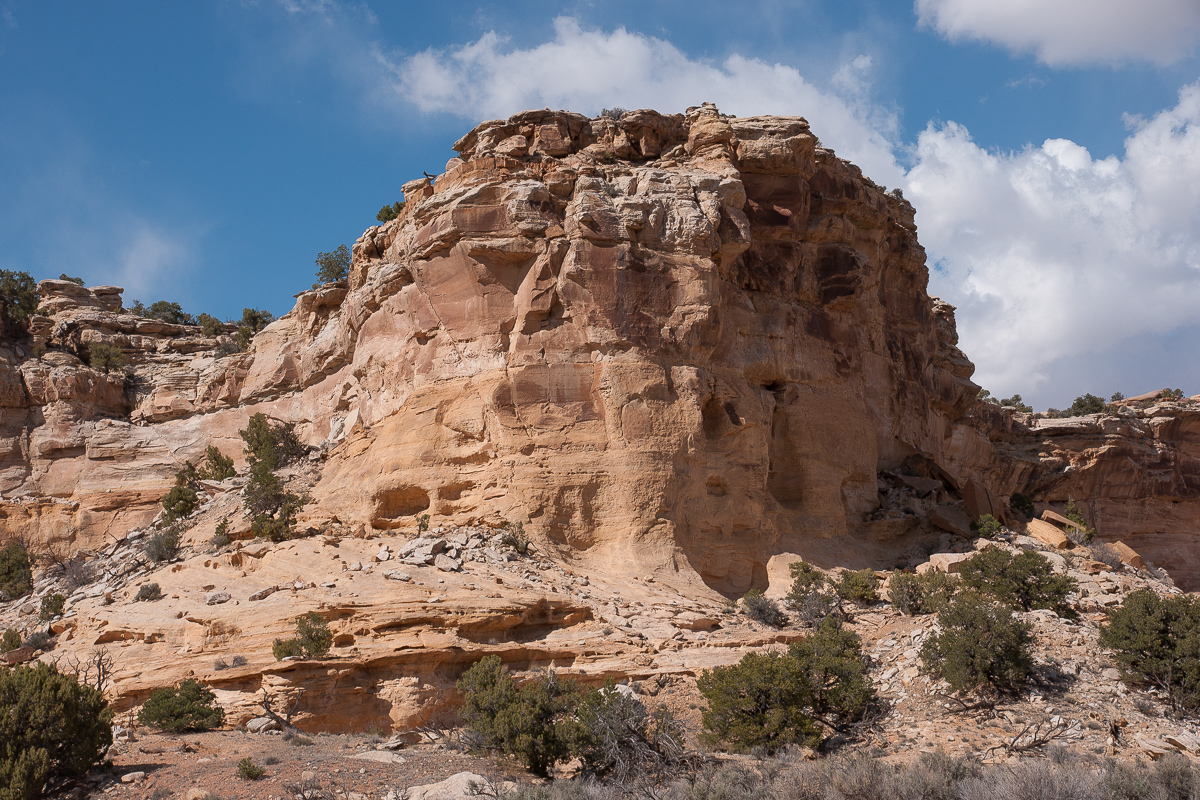 North Fork Coal Canyon