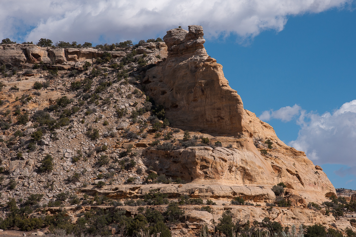 North Fork Coal Canyon